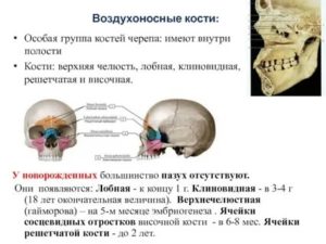 За какое время срастаются кости черепа?