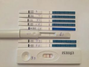 Отрицательный тест после переноса эмбриона