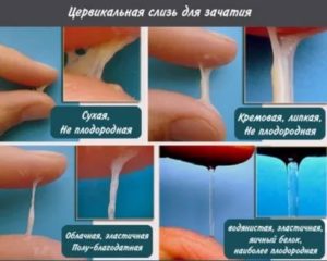 Можно ли забеременеть от мужской смазки и через одежду?