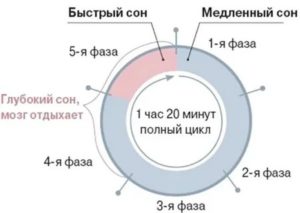 Как увеличить фазу глубокого сна?