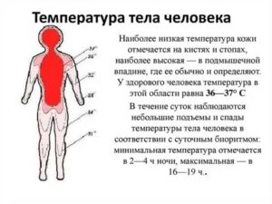 Высокое давление, низкая температура тела