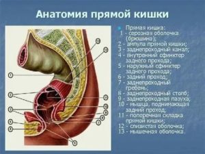 Что делать, если расширена ампула прямой кишки?