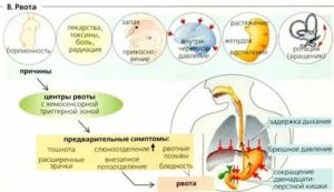 Рвотный рефлекс у ребенка