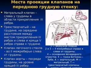 В правой части грудной клетки бывают стуки и звуки