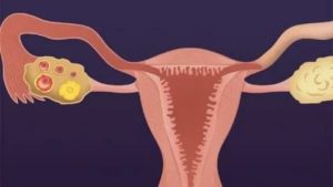 Вопрос по менструальному циклу