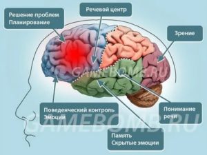 Какая часть мозга отвечает за страх?