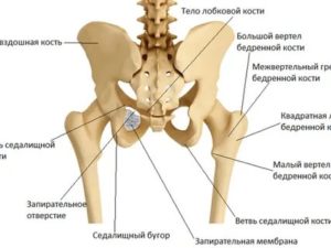 Болит гребень подвздошной кости справа, какое нужно обследование?