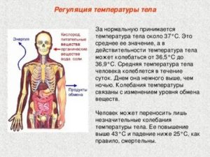 Может ли температура подниматься от невралгии?