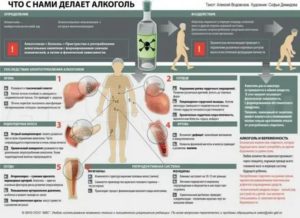 Возможно ли употребление алкоголя во время лечения небивололом?