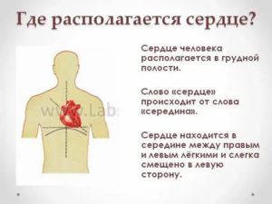 В правой части грудной клетки бывают стуки и звуки