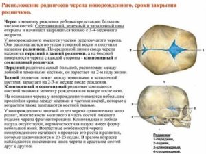 За какое время срастаются кости черепа?