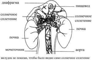 Дёргается в области солнечного сплетения