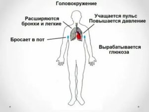 Головокружение, слабость, высокий пульс