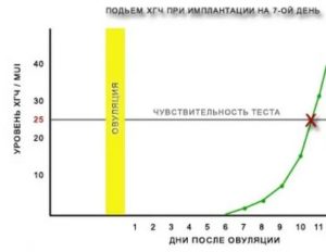 Через сколько дней можно после блокады планировать беременность?