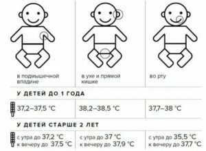 У ребенка 6 месяцев иногда температура 37