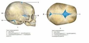 У ребенка в 8 месяцев почти закрылся родничок