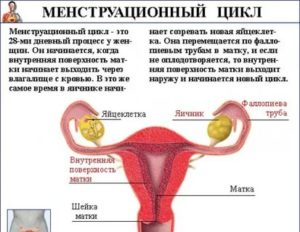 Возможен ли ПА при менструации?