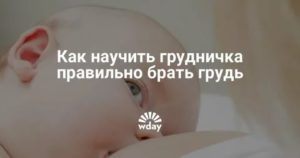 Как заставить ребенка взять грудь?