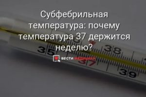 Почему держится температура?