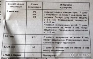 Максимальный перерыв между прививками Превенар