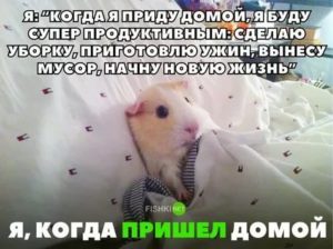 Знобит когда прихожу домой