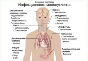 Неделю держится температура и кашель