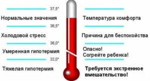 Температура 38,8, холодно, что делать?