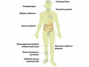 Температура, боль в руках и ногах, головная боль