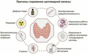 Воздействие антибиотиков на щитовидную железу
