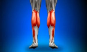 Как лечить растяжение камбаловидной мышцы?