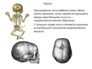 За какое время срастаются кости черепа?