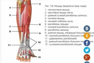 Дергается мышца