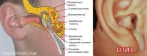 При глотании закладывает уши