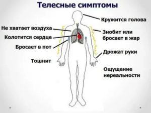 Кружится голова, трясутся руки и ноги