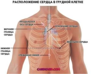 В правой части грудной клетки бывают стуки и звуки