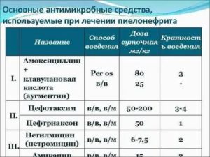 Через какое время помогает Цефтриаксон при пиелонефрите?