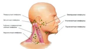 Могут ли у здорового человека прощупываться лимфоузлы?