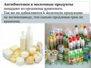 Антибиотики и молочные продукты