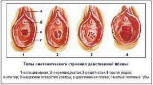 Возможно ли наступление беременности при девственности?